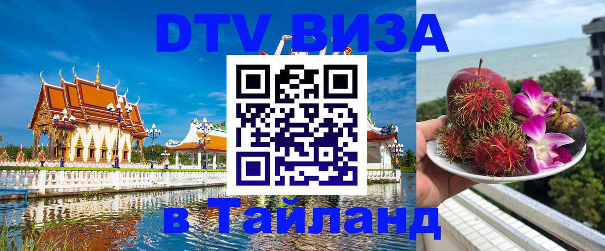 Оформление DTV визы под ключ: стоимость и тарифы, только загранпаспорт - 21.11.2025 